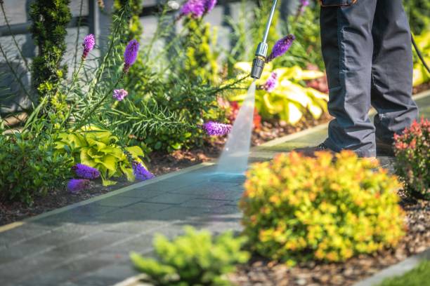Best Fence Cleaning  in Smyrna, DE