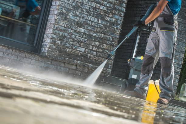 Best Animal Enclosure Cleaning  in Smyrna, DE