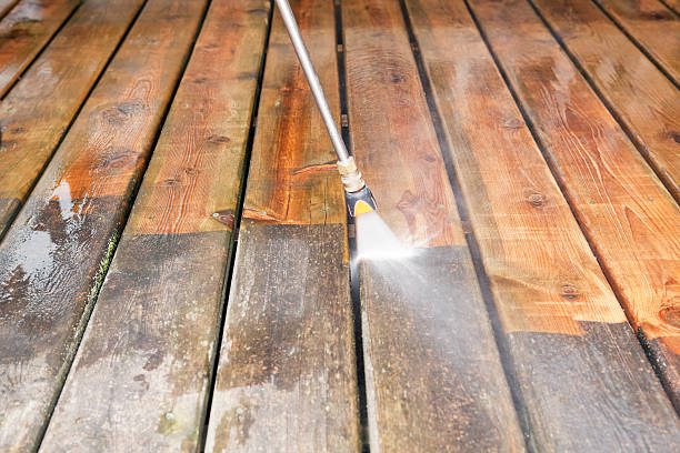 Best Dumpster Area Cleaning  in Smyrna, DE