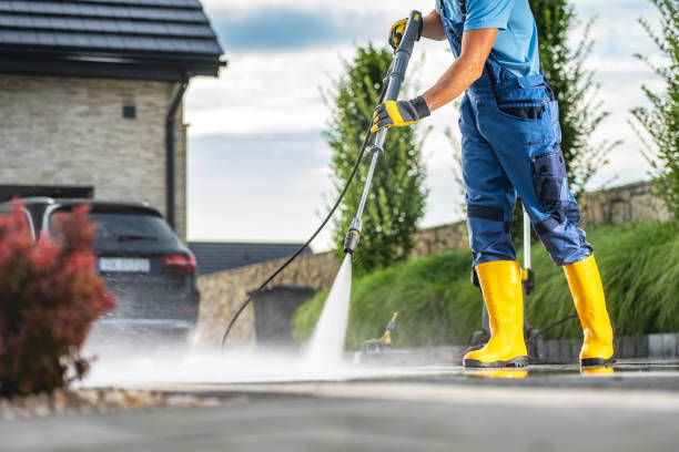 Best Sidewalk and Walkway Cleaning  in Smyrna, DE